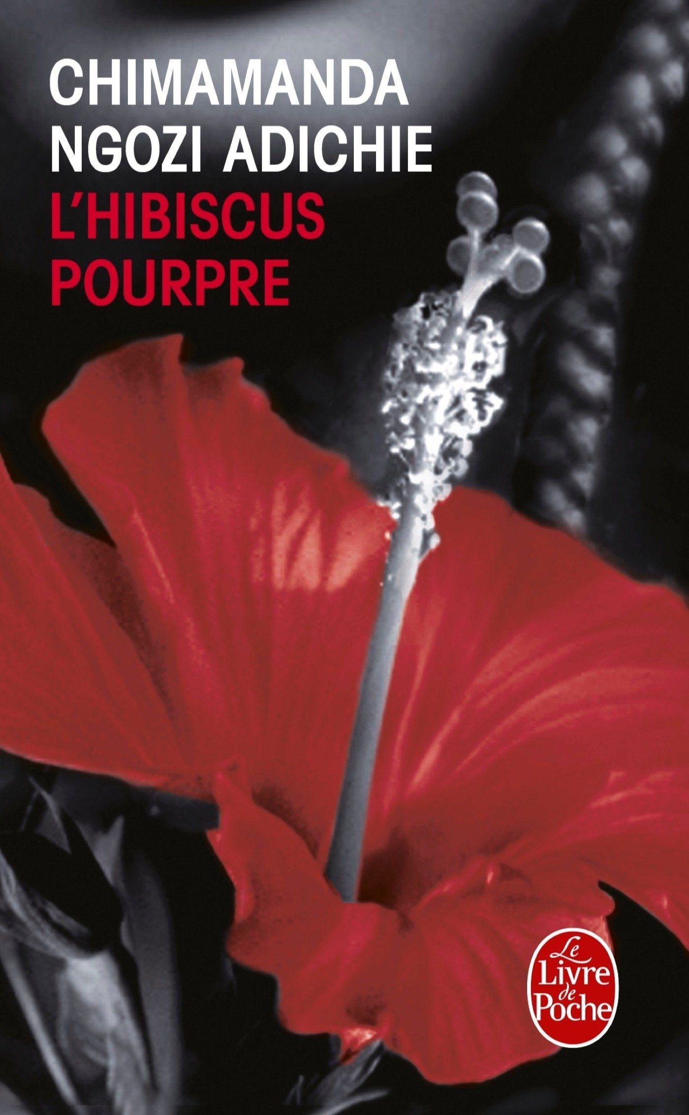 L'hibiscus pourpre - Click to enlarge picture.