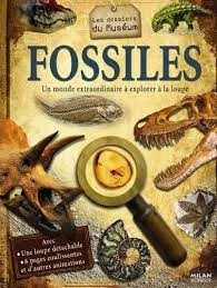 Fossiles - Click to enlarge picture.
