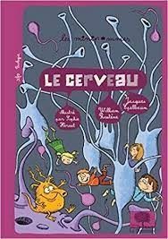 Le cerveau - Click to enlarge picture.