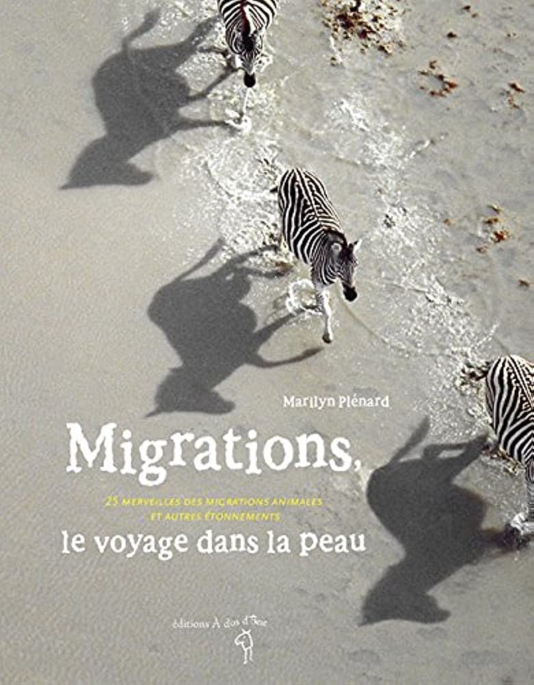 Migrations - Click to enlarge picture.