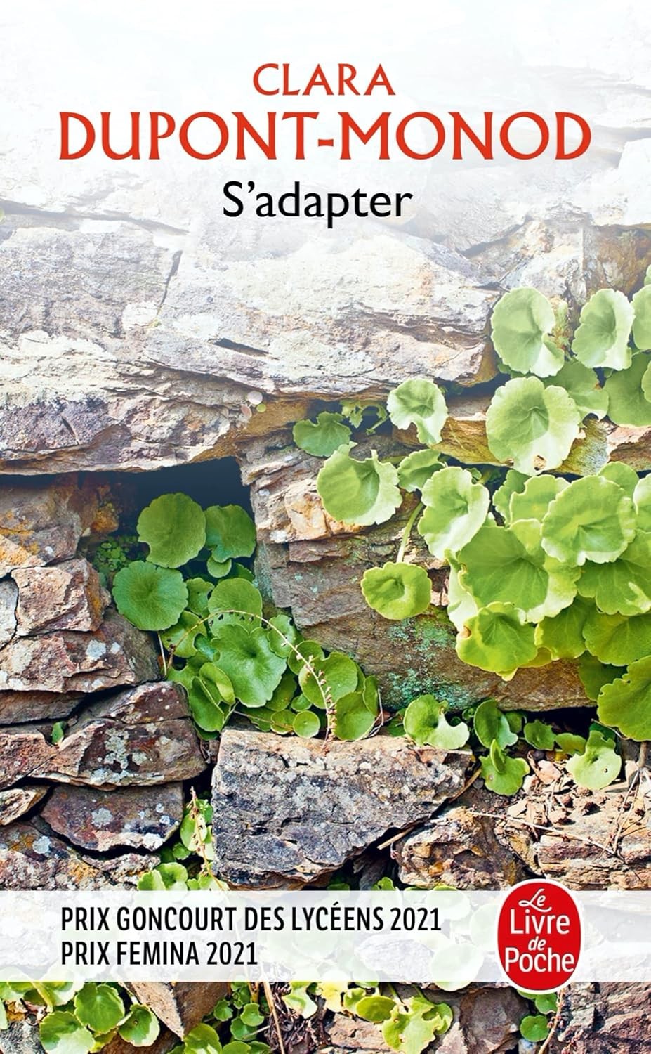 S'adapter - Click to enlarge picture.