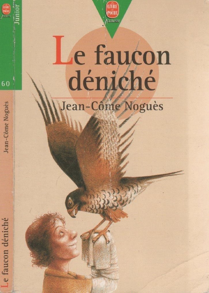 Le faucon déniché - Click to enlarge picture.