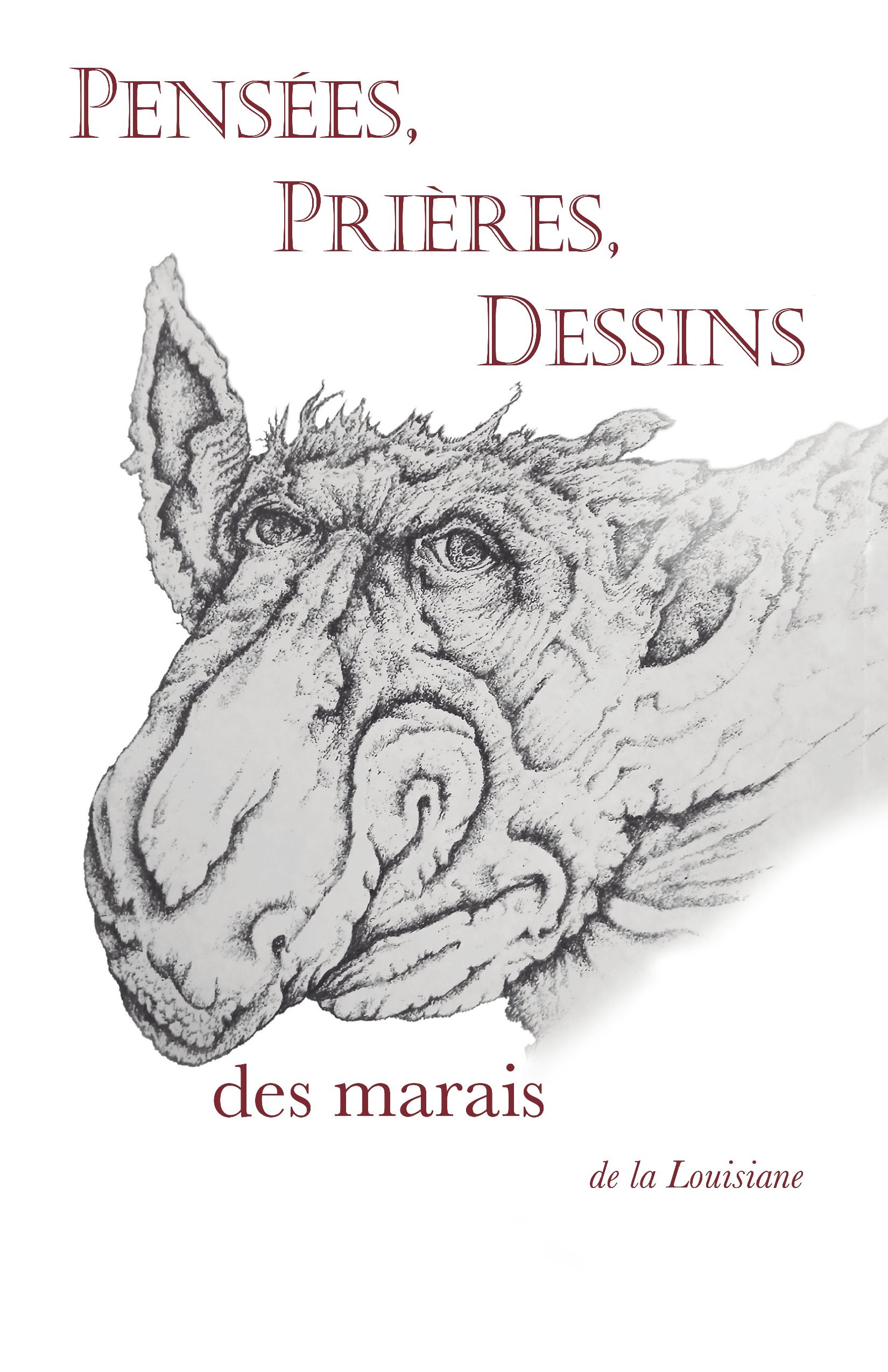 Pensées, Prières, Dessins des marais de la Louisiane