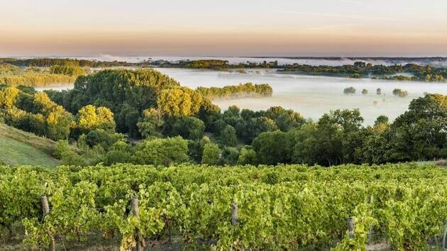 Discover the Loire: France's Garden